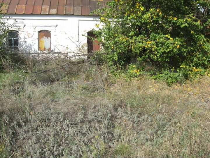 Участок 17 сот. (ИЖС)