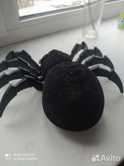 Тарантул большой на пульте