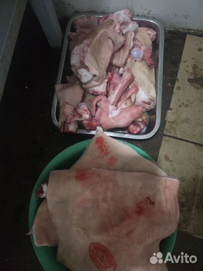 Кости для собак