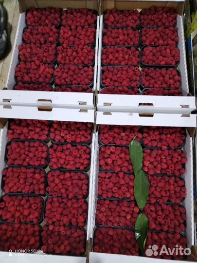 Малина свежая