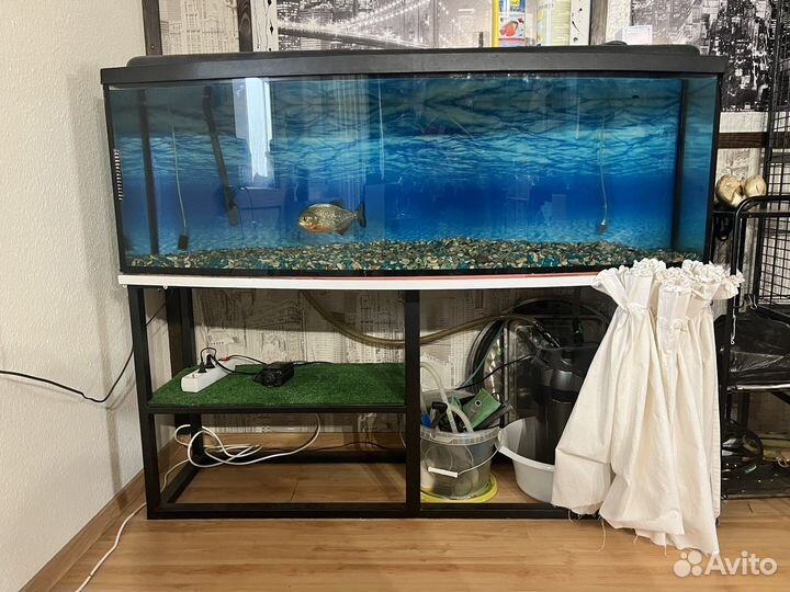 Аквариум 300 л
