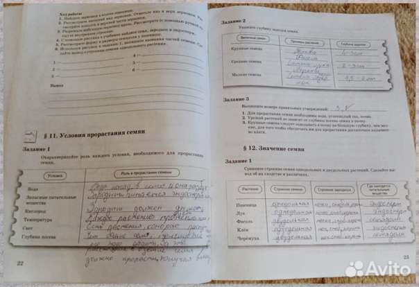 Рабочие тетради по биологии Пономарёва 6 класс