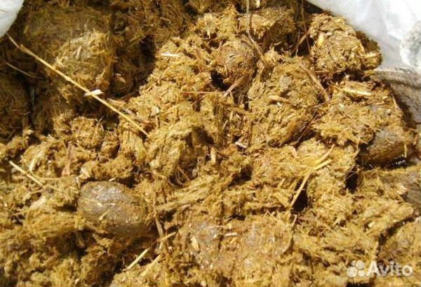 Конский навоз