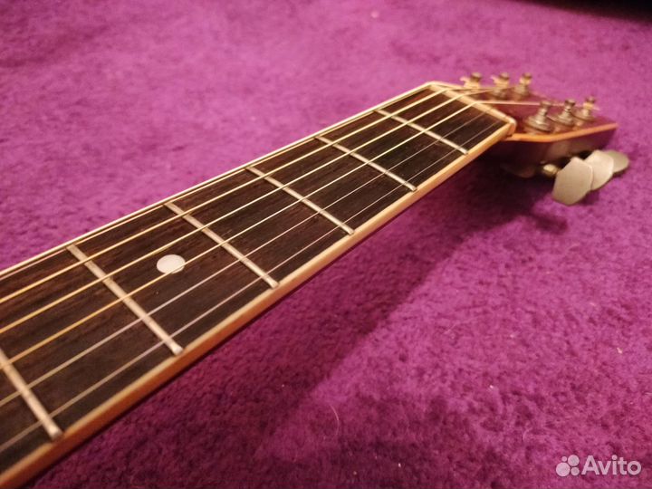 Акустическая гитара Morris w30