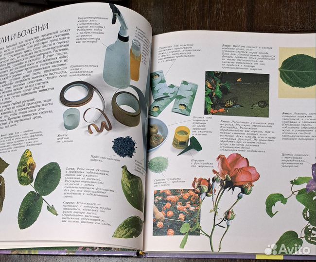 Цветы в вашем саду книга