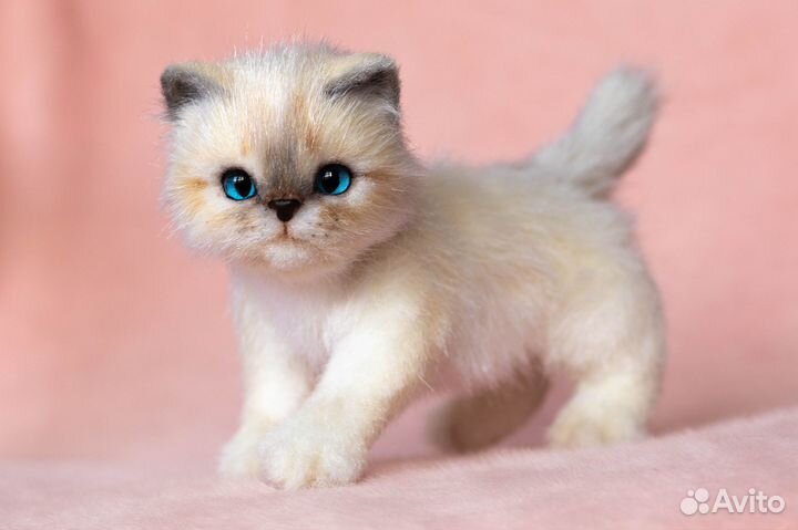 Мягкая игрушка Котенок ручной работы