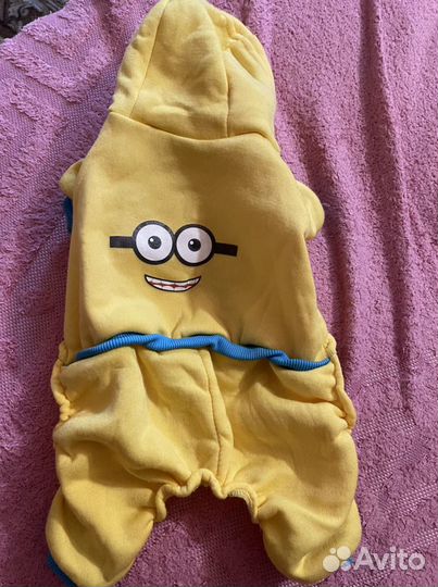 Вещи для собак