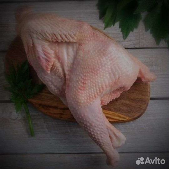 Мясо петуха