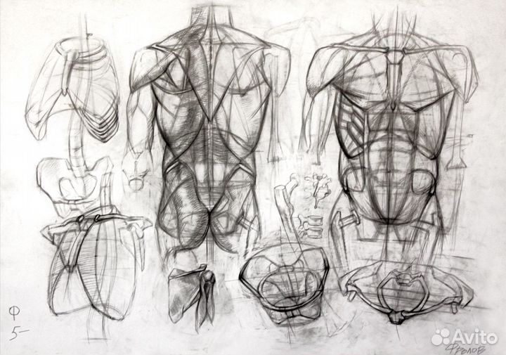 Уроки рисования