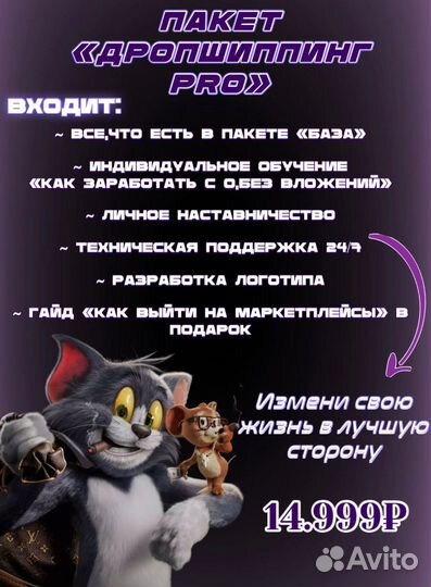 Готовый бизнес дропшиппинг