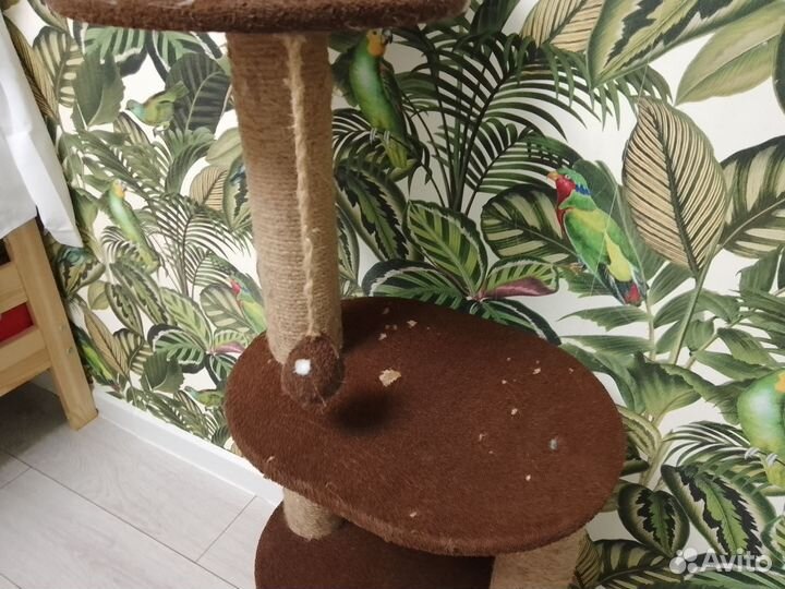 Домик для кошки с когтеточкой бу