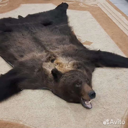 Таксидермия изготовление чучел