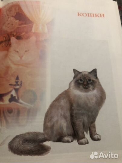 Книга - энцикопедия о животных в твердом переплее