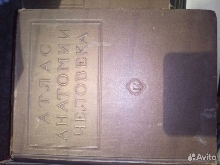 Атлас Анатомии Человека