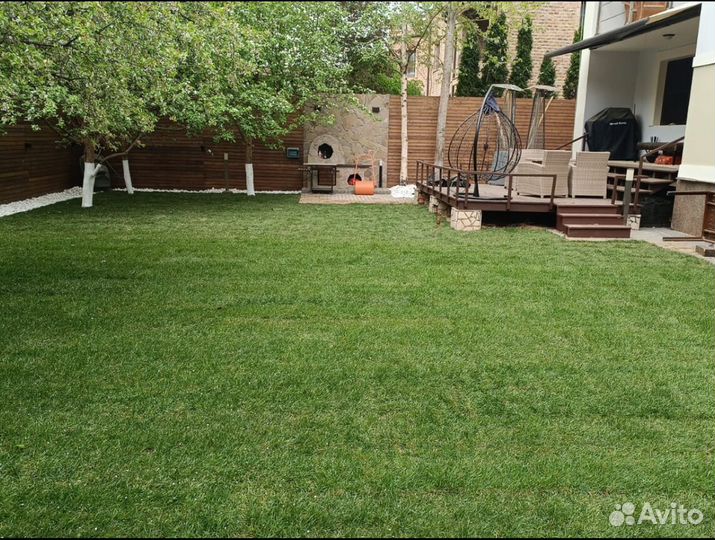 Стандартный рулонный газон