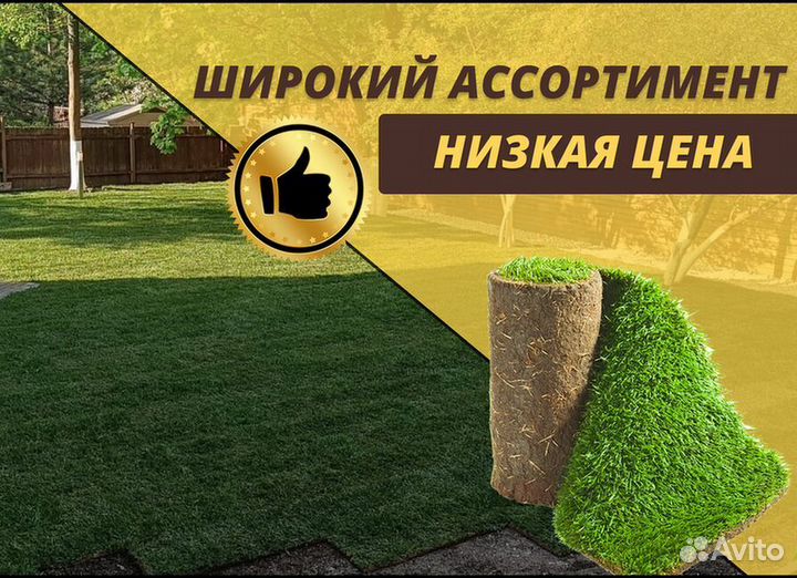 Рулонный газон от производителя