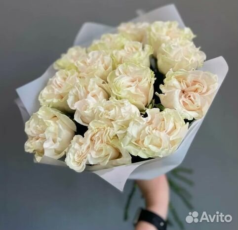 Роза пионовидная Эквадор