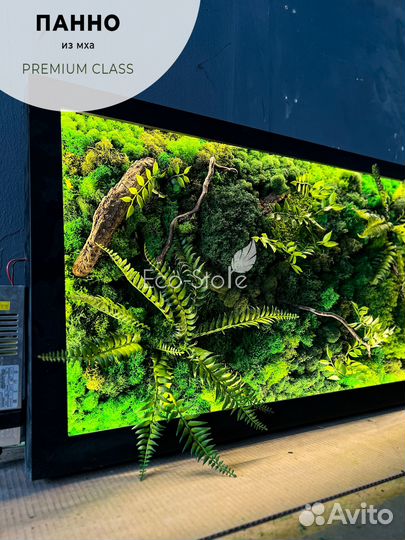 Панно мох с теплой подсветкой