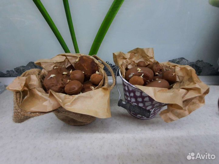 Капкейки, трайфалы, нарезные пирожные