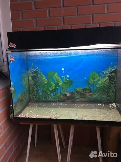 Продам аквариум