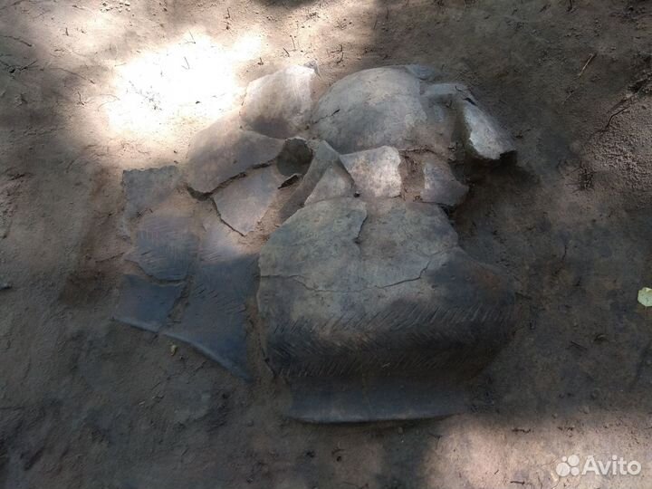 Репетитор по истории и обществознанию