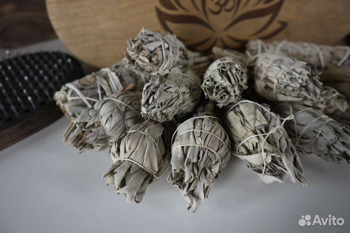 Шалфей Белый от 20шт опт для Озон