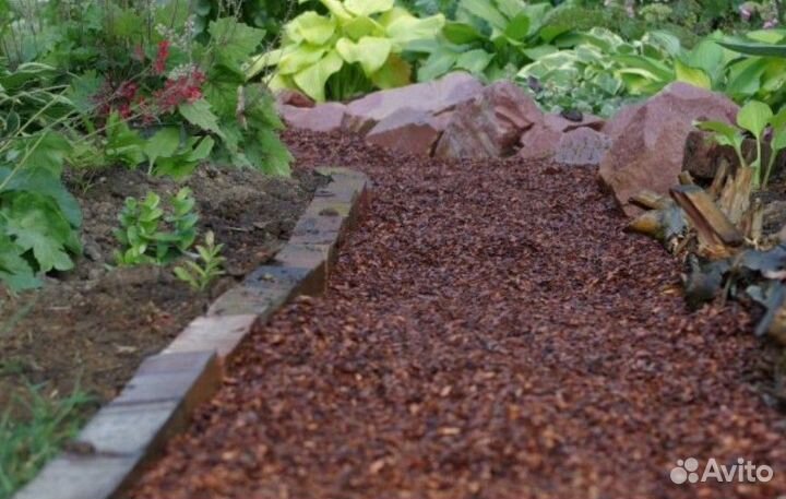 Щепа крашеная