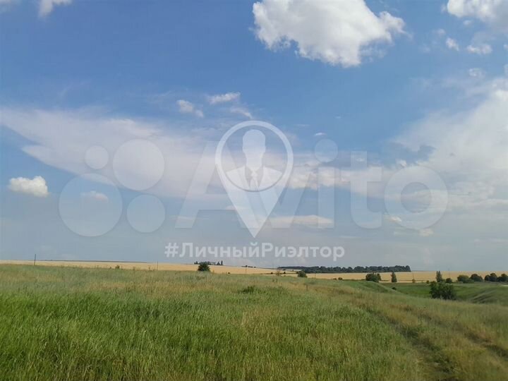 Участок 1,45 га (СНТ, ДНП)