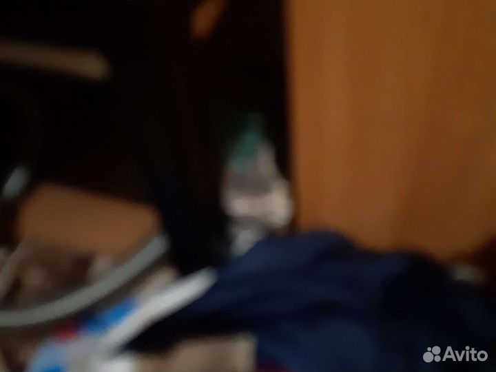 Кошка и котята