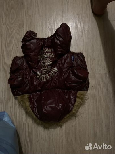 Одежда для собак мелких пород