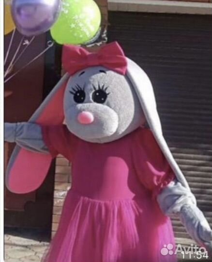 Экспресс поздравление аниматор