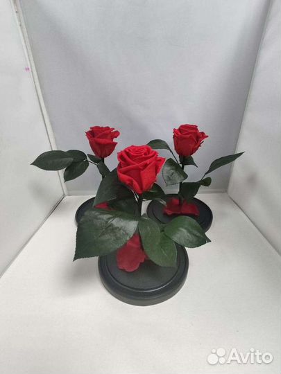 Роза в колбе оптом и в розницу