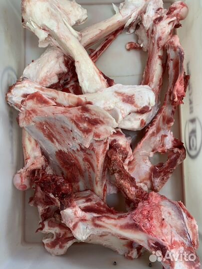 Кости для собак