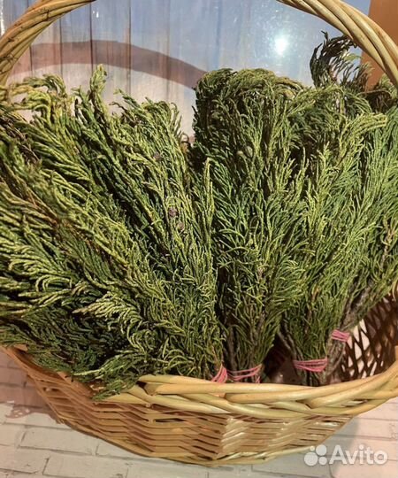 Артыш (арса) Алтайский, Можжевельник, шаман