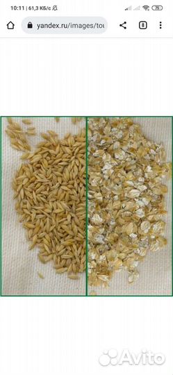 Экструдированный (плющенный) овес, ячмень, кукуруз