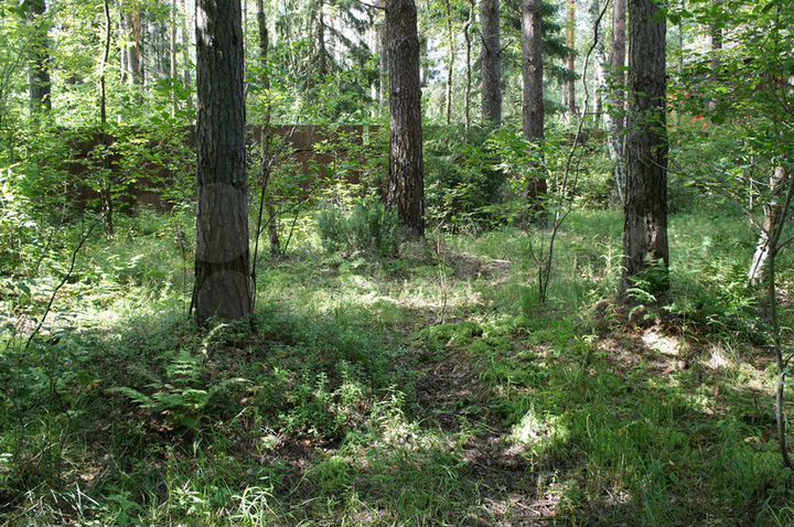 Участок 52,4 сот. (ИЖС)