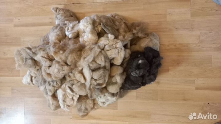 Собачья шерсть, пух