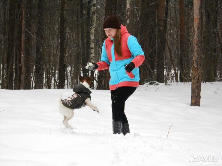 Передержка с отзывами, няня для собак, выгул