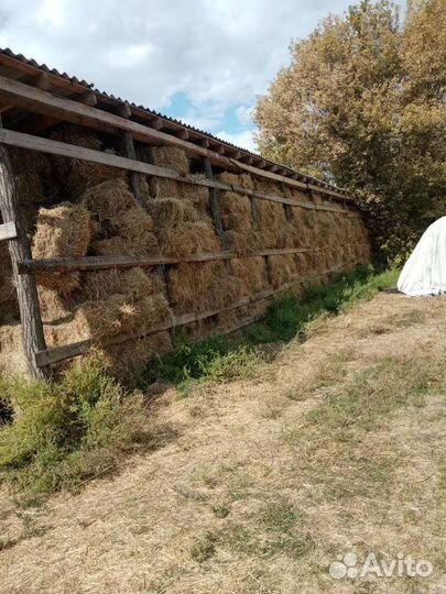 Сено,Солома и люцерна в тюках