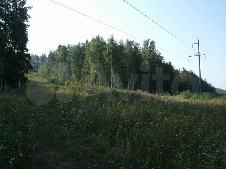 Участок 92 сот. (ИЖС)