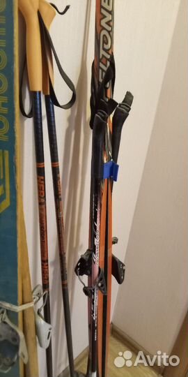 Беговые лыжи классические