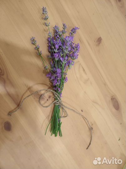 Лаванда букетик