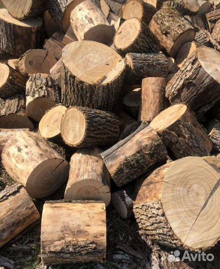 Дрова дубовые