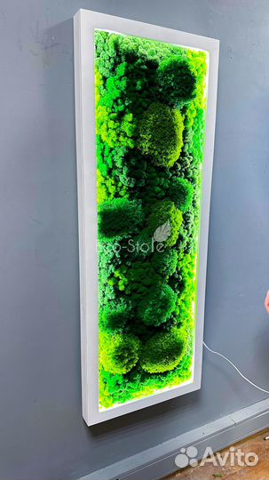 Картина из мха 50 см
