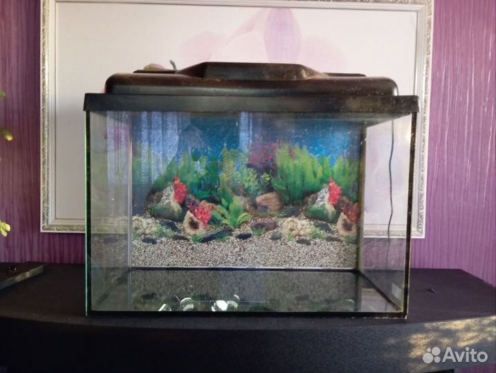 Аквариумы 30 л., 50 л., 100 л
