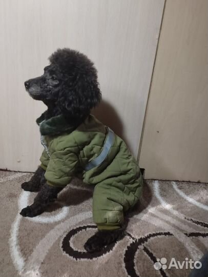 Куртка для собак