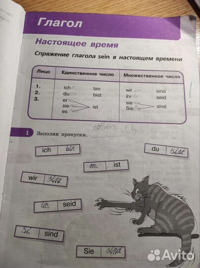 Учебное пособие по немецкому языку