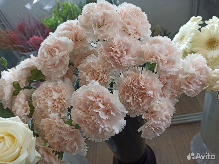 Цветы оптом Голландия