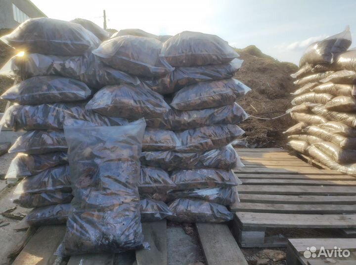 Мульча кора лиственницы