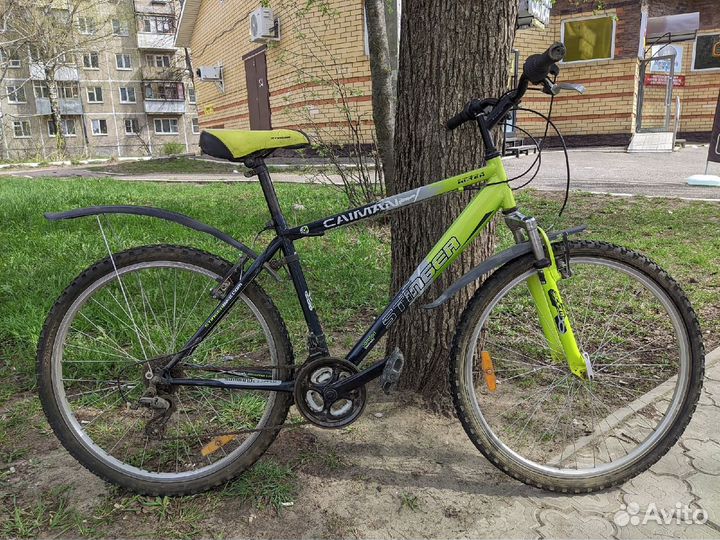 Горный велосипед Stinger Caiman 12, 24